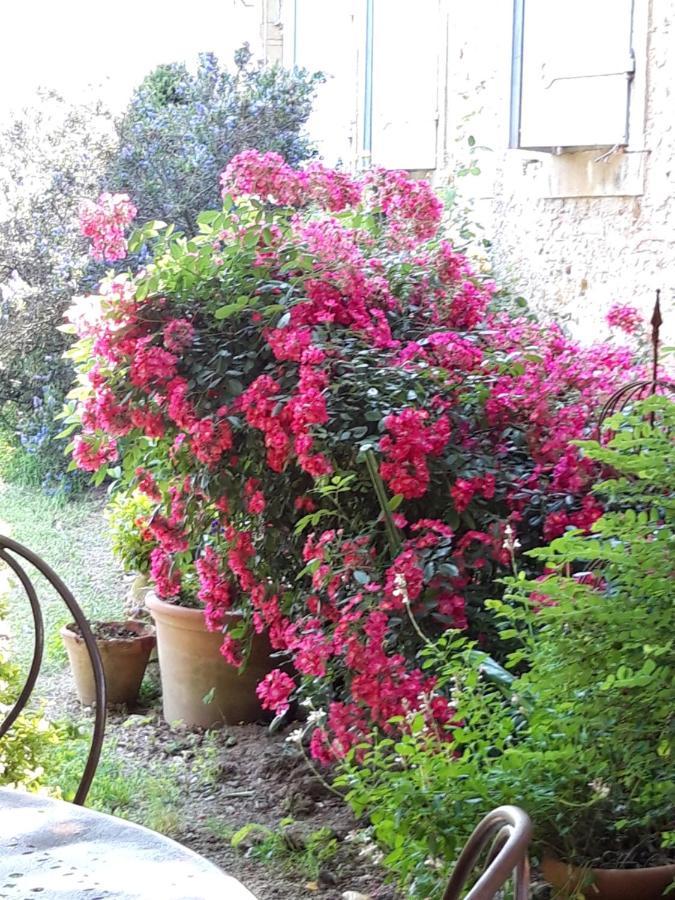 Le Pouy Bed and Breakfast Termes-d'Armagnac Exterior foto