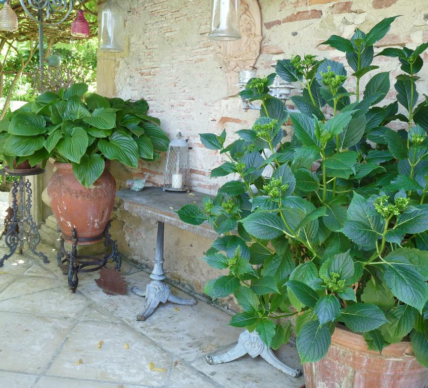 Le Pouy Bed and Breakfast Termes-d'Armagnac Exterior foto